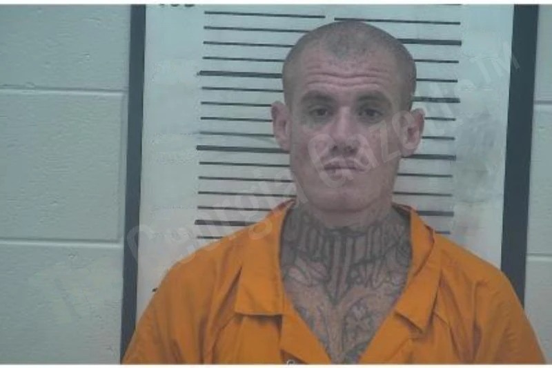 Shayne McFarland Mugshots