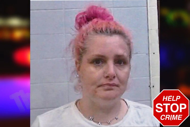 Sheena Davis Mugshots