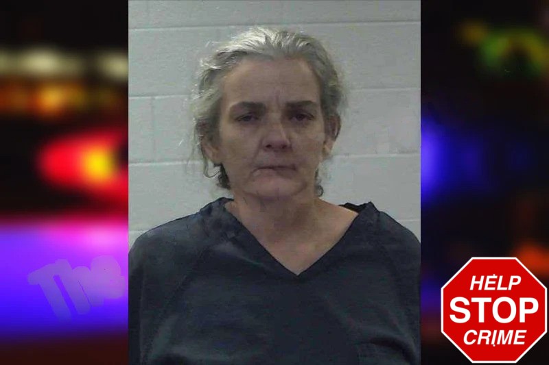 Sheila Hensley Mugshots