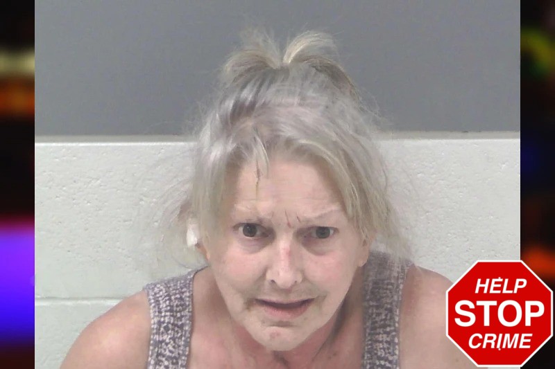Sheila Roberts mugshot