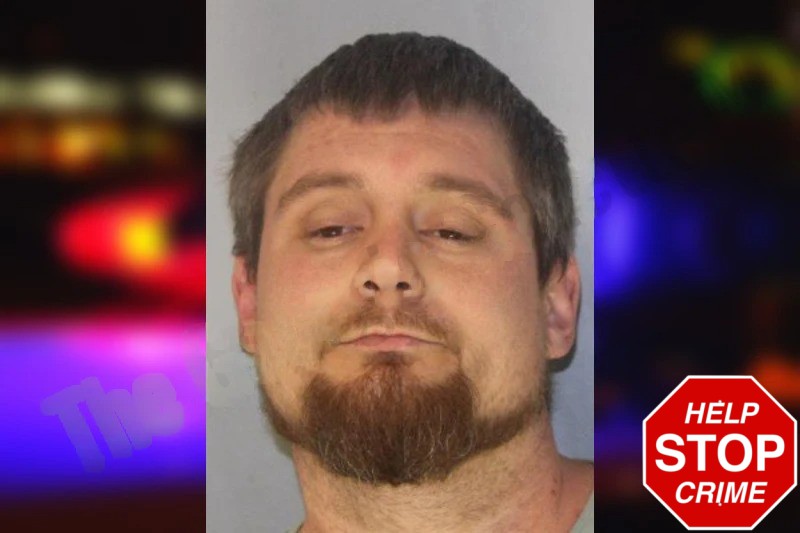 Shelby Phillips Mugshots