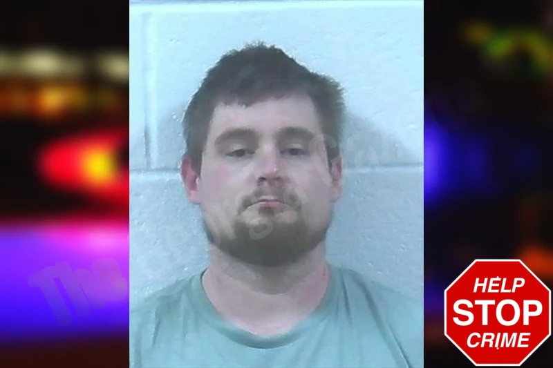 Shelby Phillips Mugshots