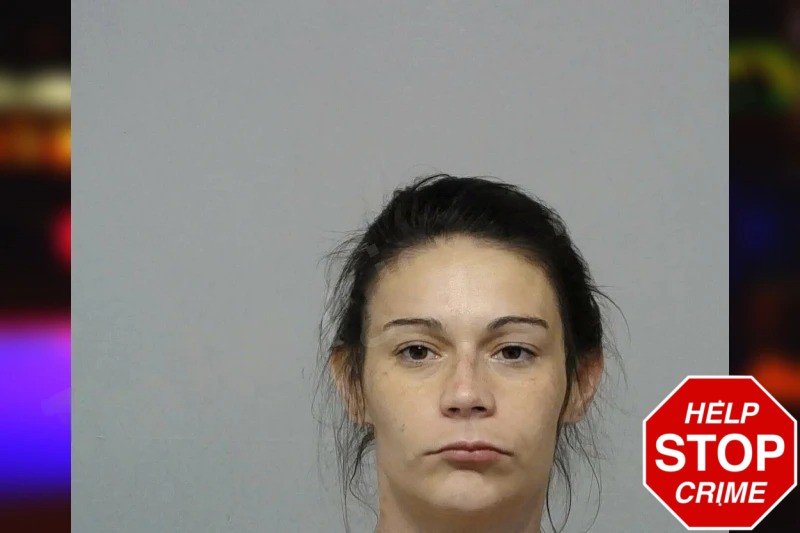 Shelby Shultz Mugshots