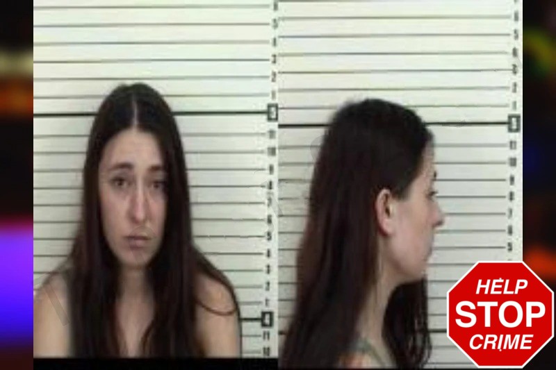 Shelby Whitley Mugshots