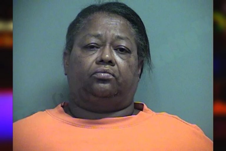 Shelia Bryant mugshot β Effingham County , Georgia Shelia Bryant