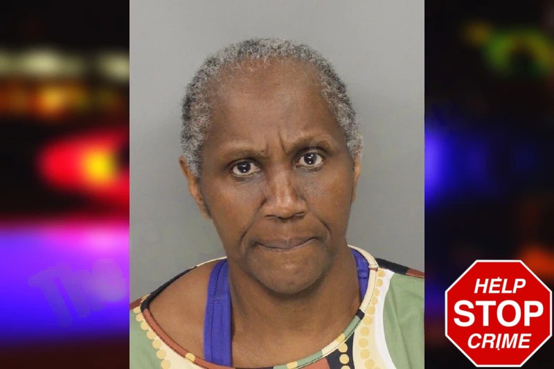 Sheray Harrison Mugshots