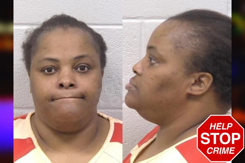 Sheree Long Mugshots