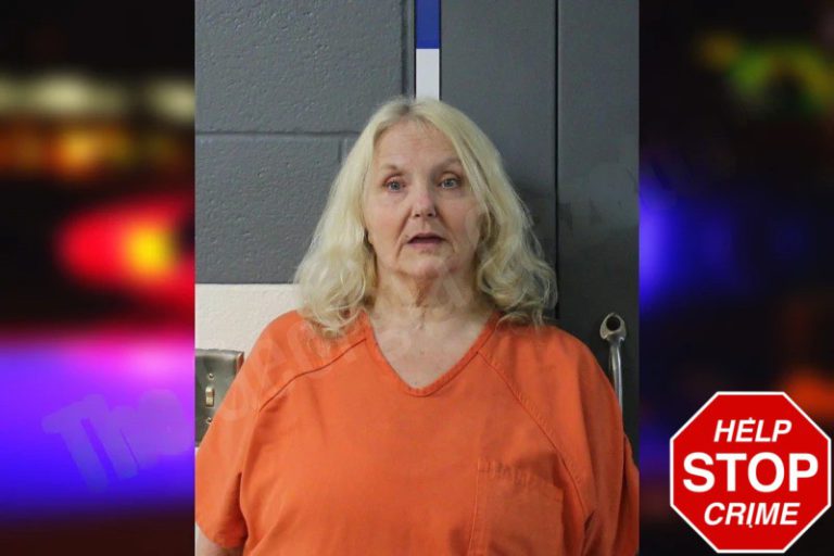 Sherri Varesi mugshot – Lumpkin County , Georgia Sherri Varesi