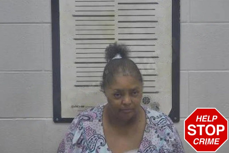 Sherry Chandler Mugshots