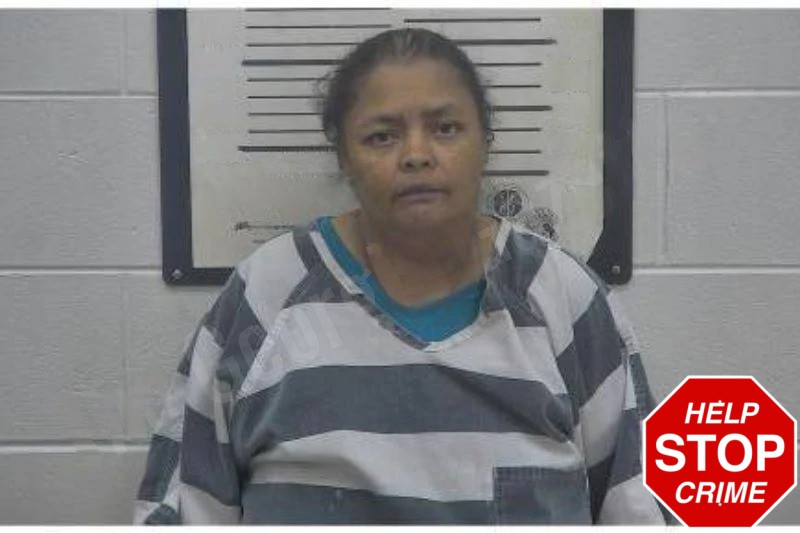 Sherry Chandler Mugshots