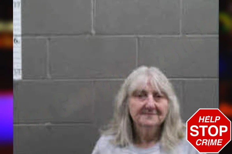 Sherry Hollis Mugshots
