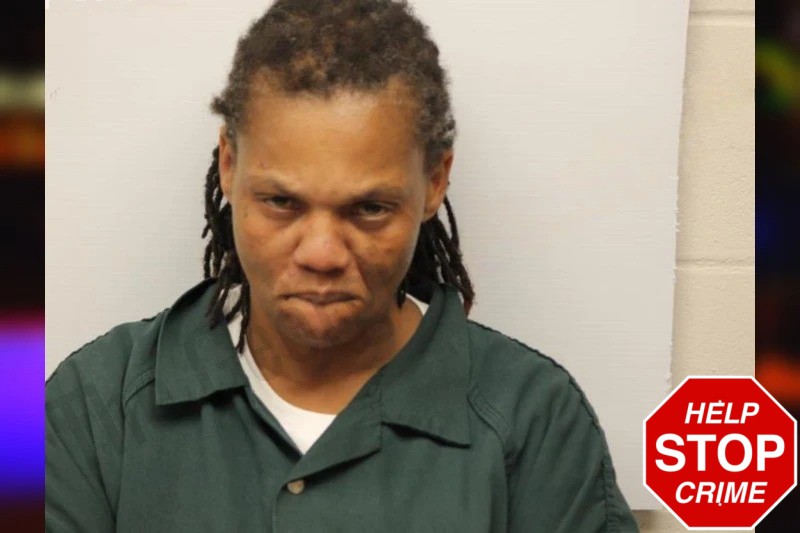 Sherry Mims Mugshots