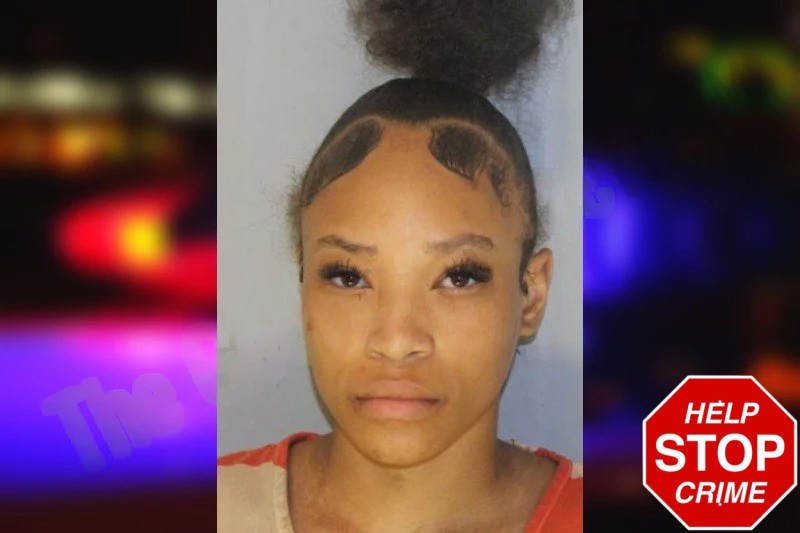 Shirley Nezari Mugshots