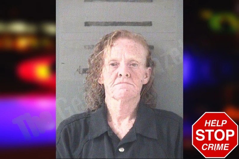 Shonda Davis Mugshots