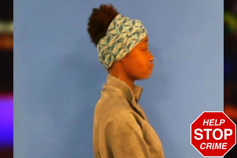 Shuntae Williams Mugshots