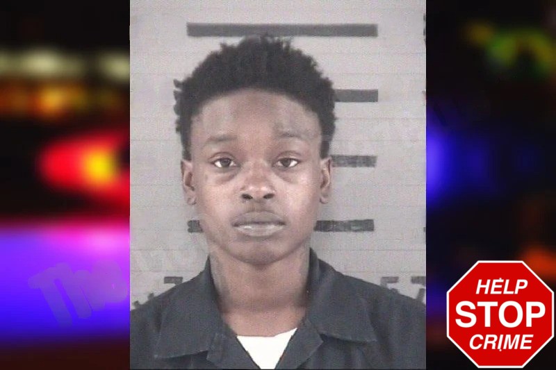 Shykeria Williams Mugshots