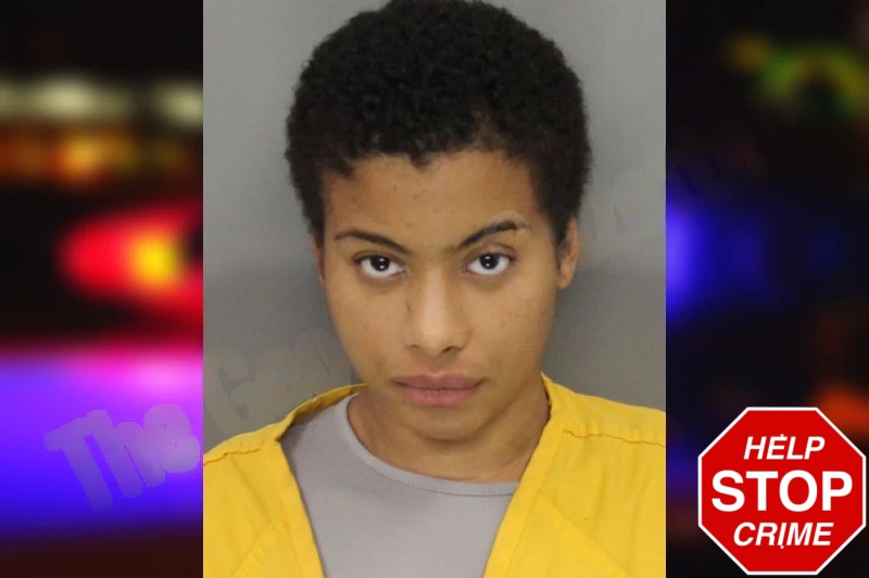 Siani Alexander mugshot