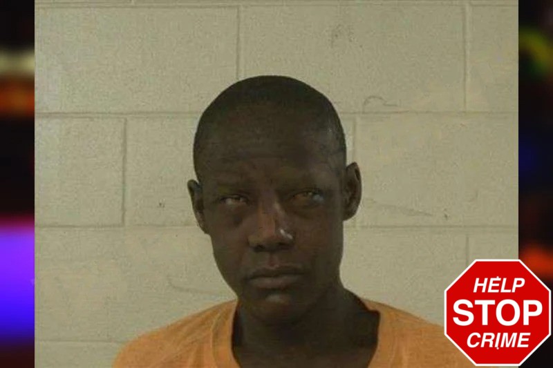 Sierra Johnson Mugshots