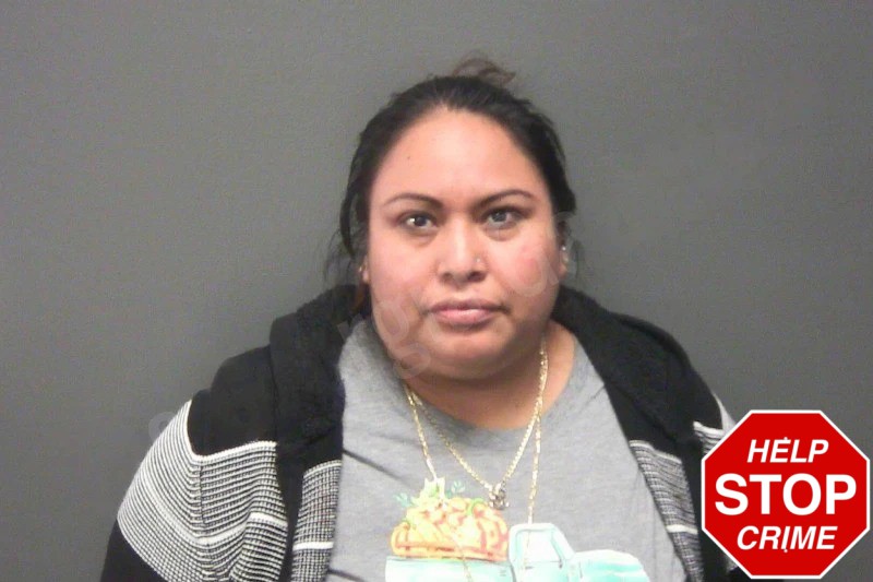 Silvia Macario Velasquez Mugshots