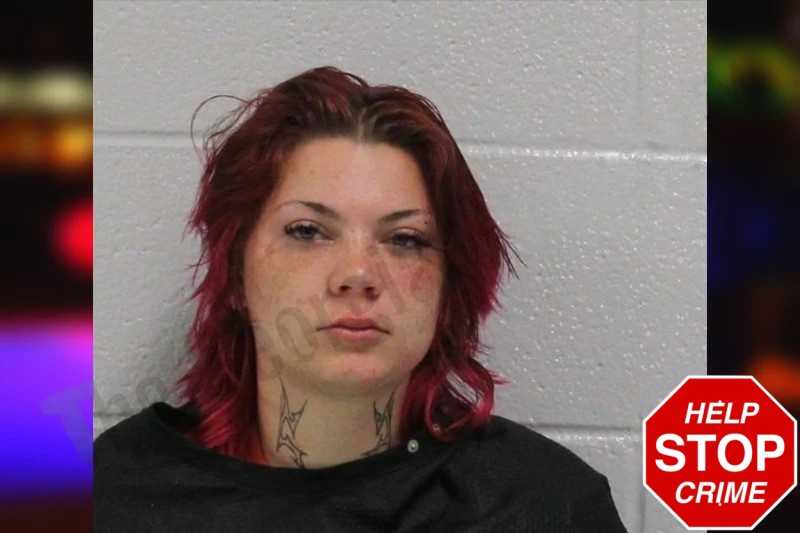 Skiler McNeal Mugshots