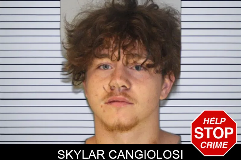 Skylar Cangiolosi mugshot – Hall County , Georgia Skylar Cangiolosi mugshot