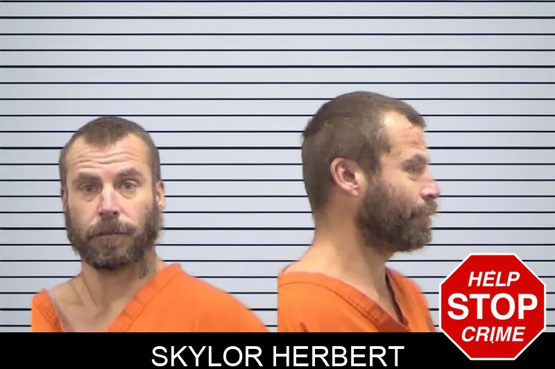 Skylor Herbert Mugshots