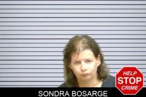 Sondra Bosarge mugshot
