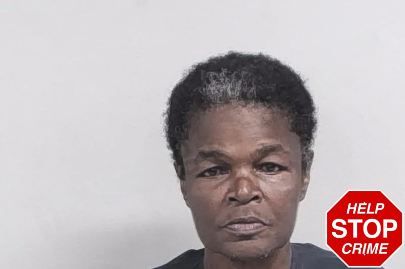 Sonja Walker Mugshots