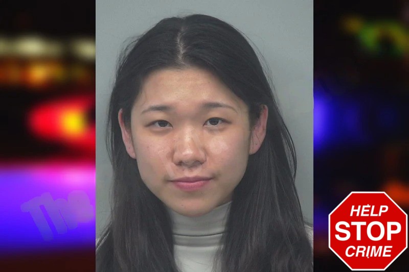 Soyoung Goo Mugshots