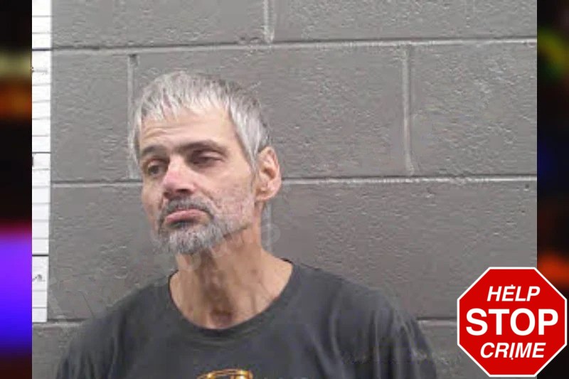 Stacey Daniels Mugshots