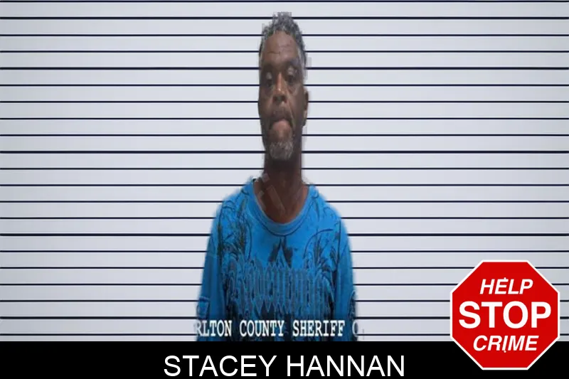 Stacey Hannan Mugshots