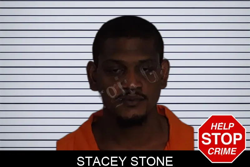 Stacey Stone Mugshots