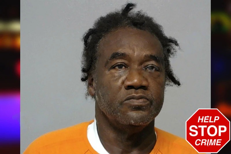 Stacey Taylor Mugshots