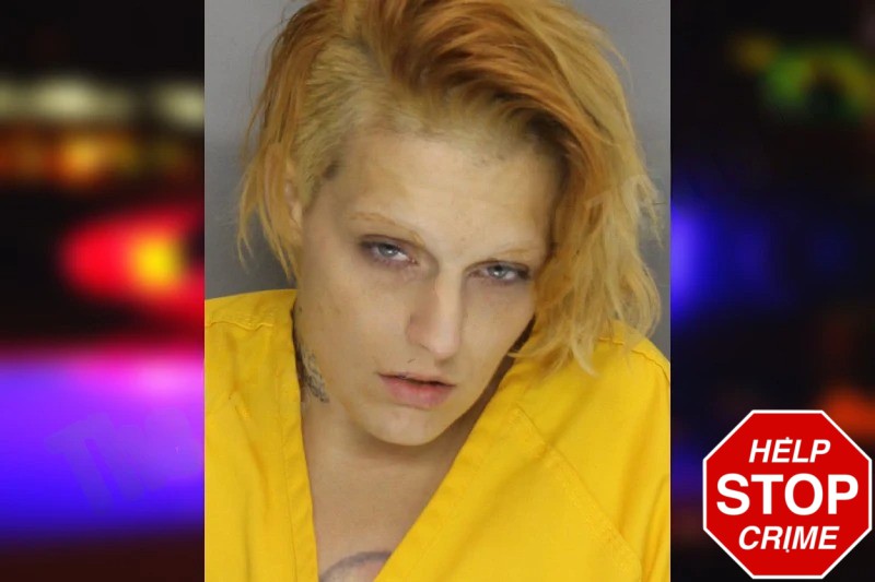 Stacey Weaver mugshot