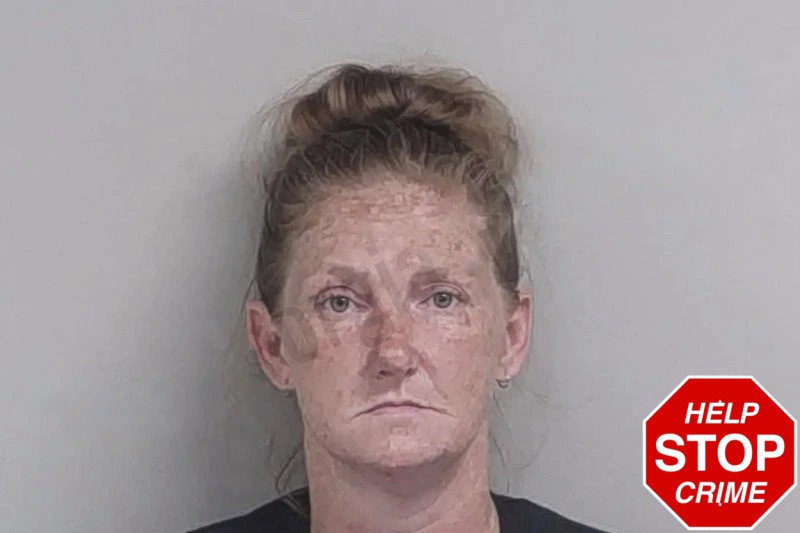 Stacie Baylor Mugshots