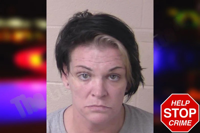 Stacie Lewis Mugshots