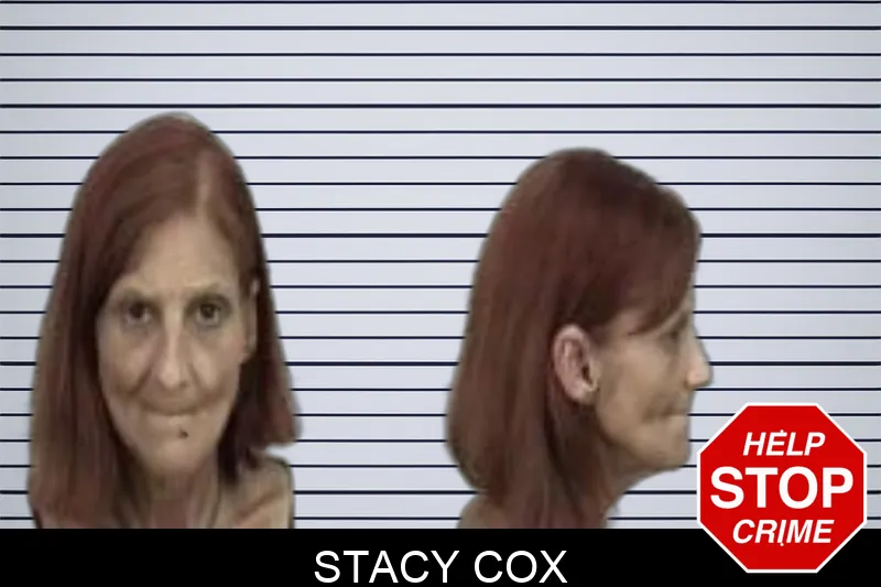 Stacy Cox Mugshots