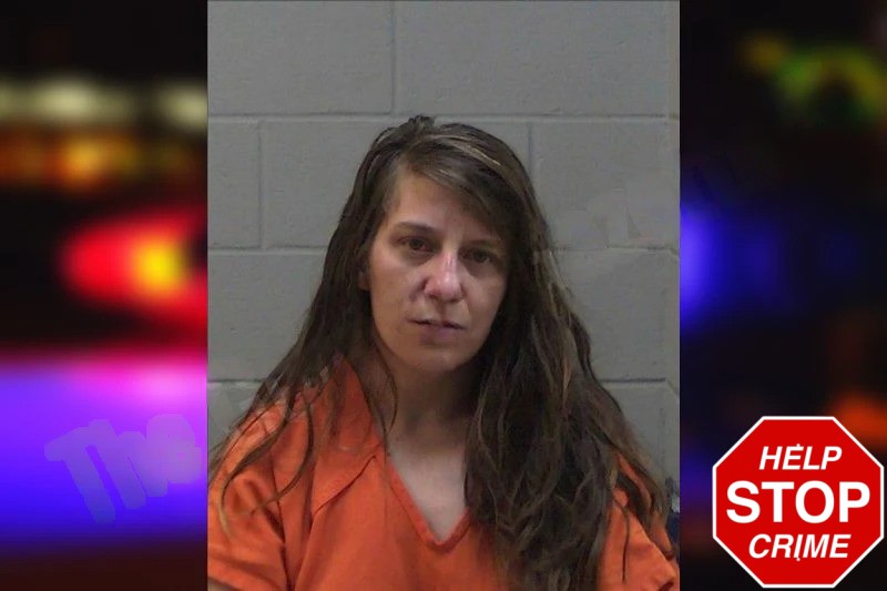 Stacy Dalton Mugshots