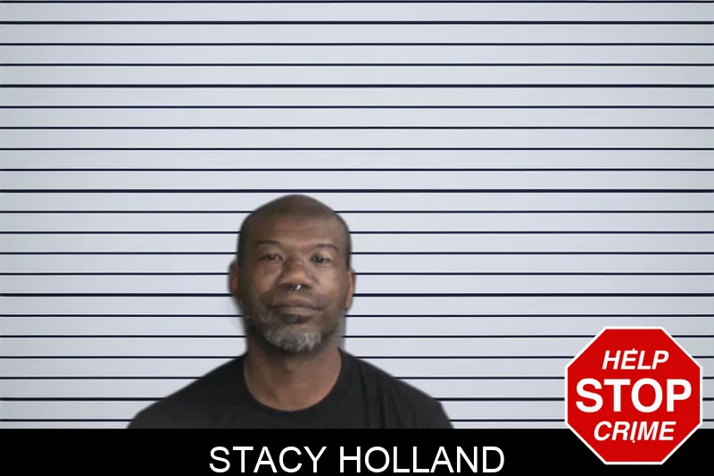 Stacy Holland Mugshots