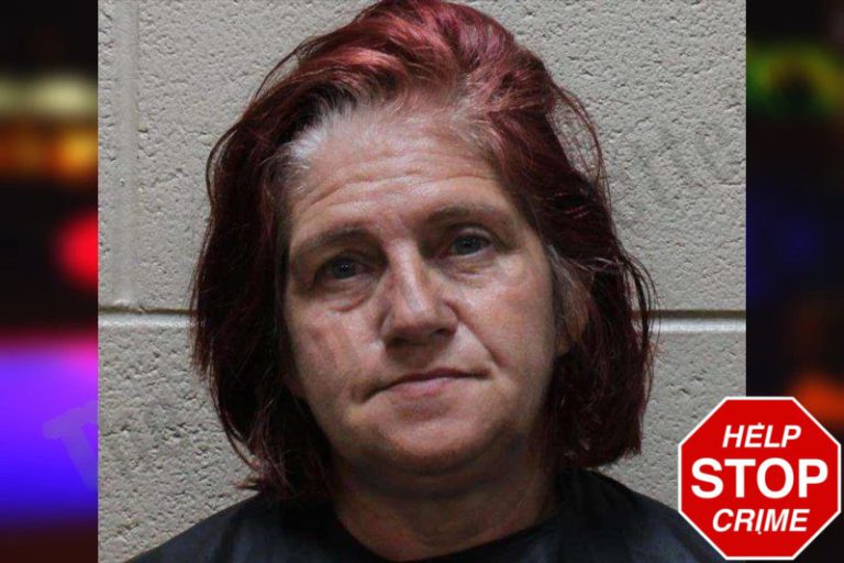 Stacy King mugshot – Haralson County , Georgia Stacy King