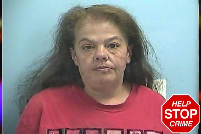 Stacy Mills mugshot – Dawson County , Georgia Stacy Mills