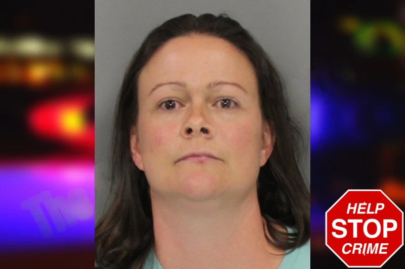 Stefani Mulholland mugshot