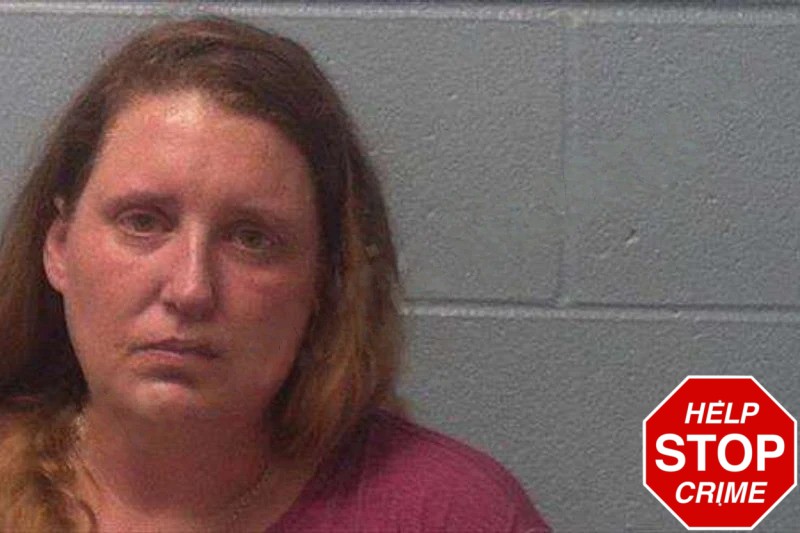 Stefanie Floyd mugshot – Franklin County , Georgia Stefanie Floyd mugshot