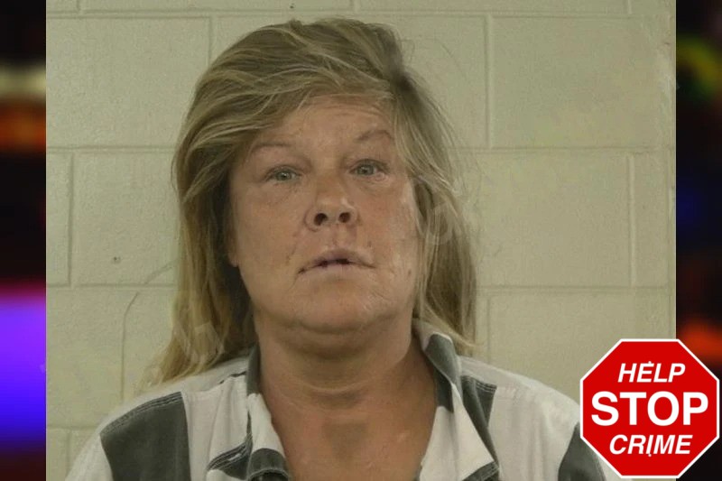 Steffanie Alexander mugshot – Liberty County , Georgia Steffanie Alexander mugshot