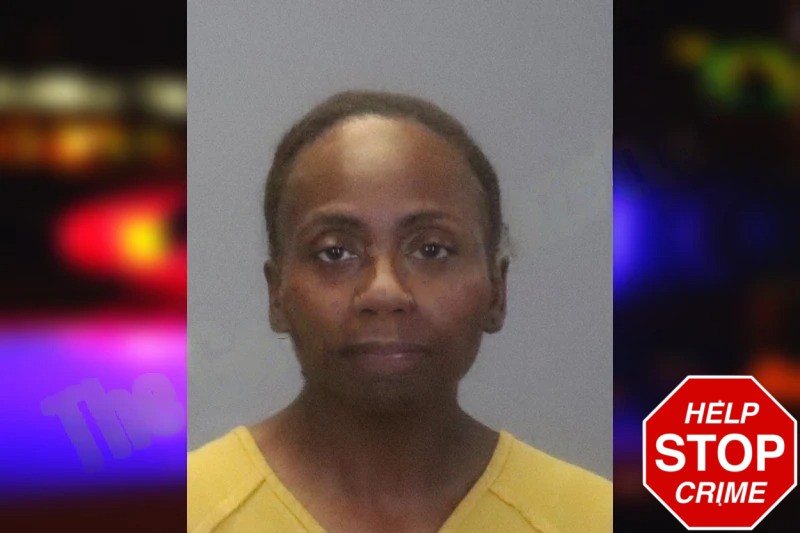 Stepanie James Mugshots