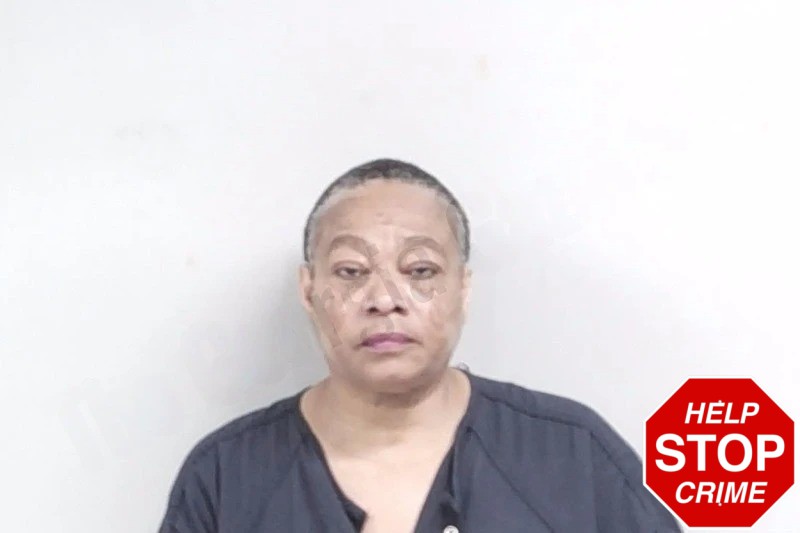 Stephanie Ellis Mugshots