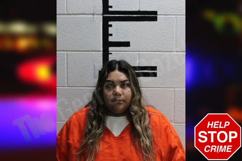 Stephanie Silva-Gudino Mugshots