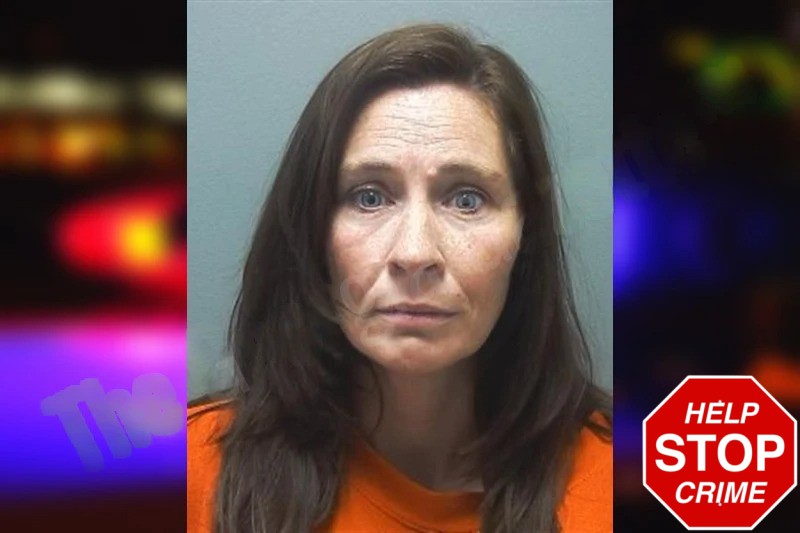 Stephanie Turner Mugshots