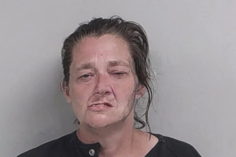 Stephanie Wade Mugshots