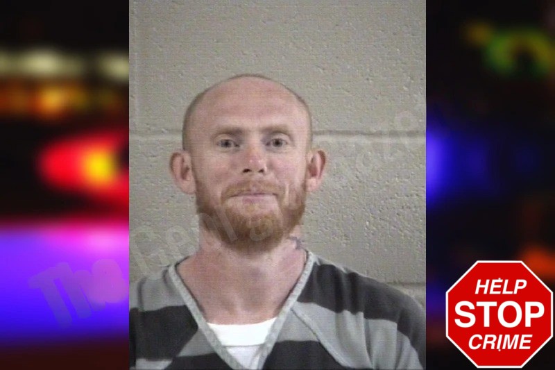 Steven Anderson Mugshots